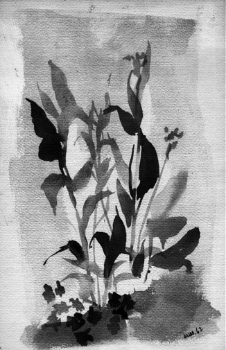 Karpas: The Greens by Arthur Sussman